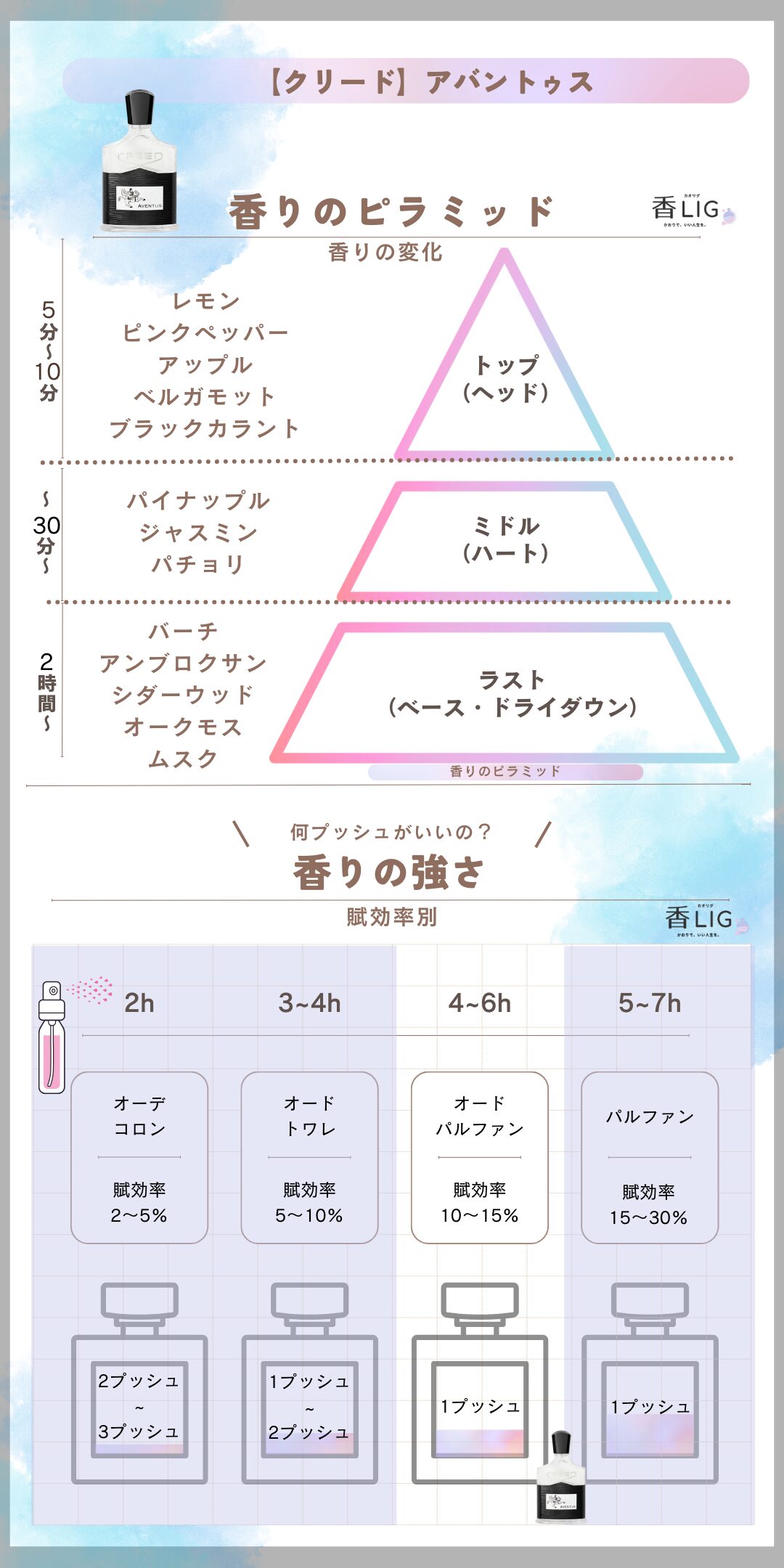 Aventus Fragrance Pyramid