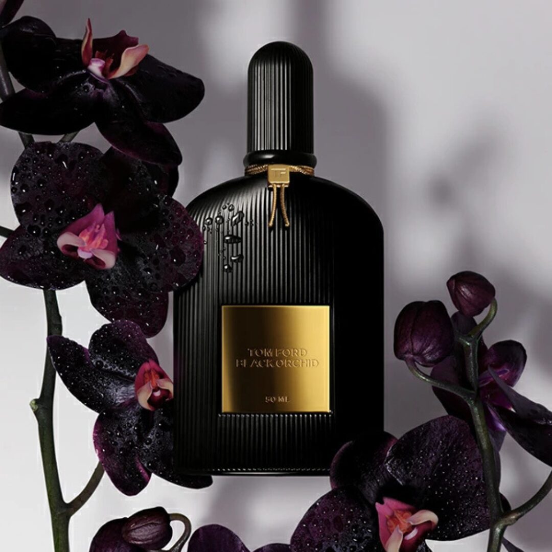 Black orchid (2)