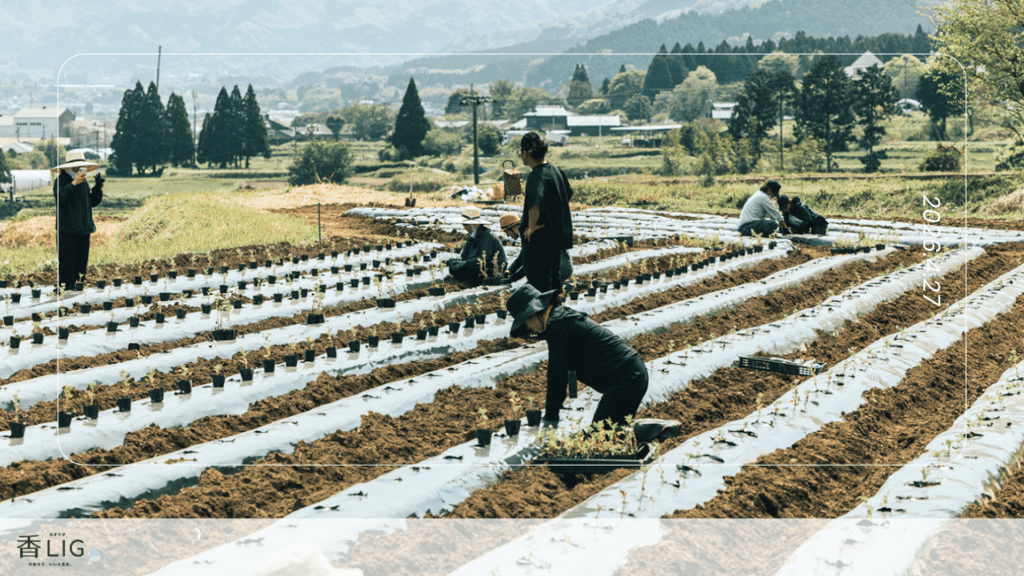 国産精油で作られているTHREEの店舗に行ってみた。 香水画像 5