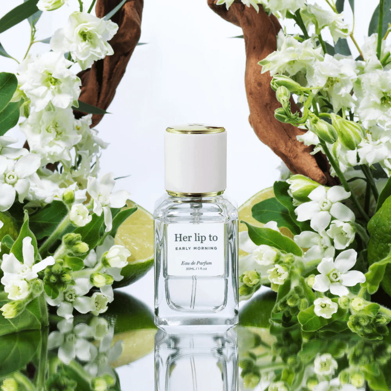 Her lip to BEAUTY アーリーモーニング