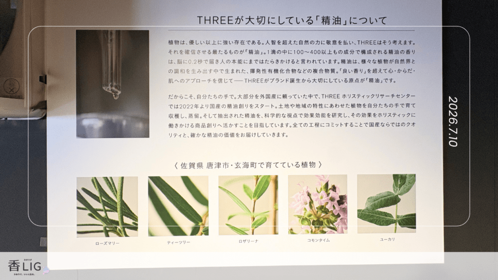 THREEの呼子蒸留所で香水のアロマ体験｜唐津呼子の観光スポット巡り 香水画像 13